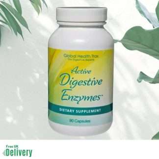 Active Digestive Enzymes Supplement 90 Capsules
