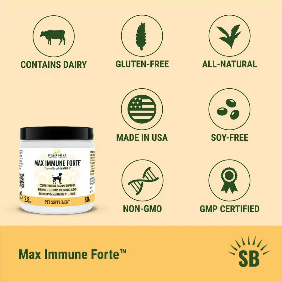 Stellar Biotics Pet Health. Delimmune - Max Immune Forte™ for Dogs 2 Stellar Biotics Pet Health. Delimmune - Max Immune Forte™ for Dogs - Image 2