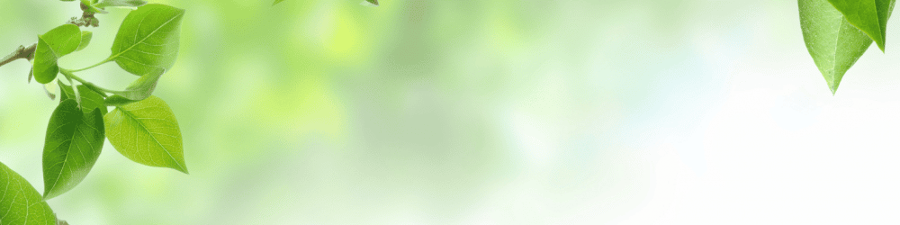 synergyback 1
