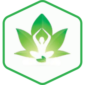 synergylogo 1