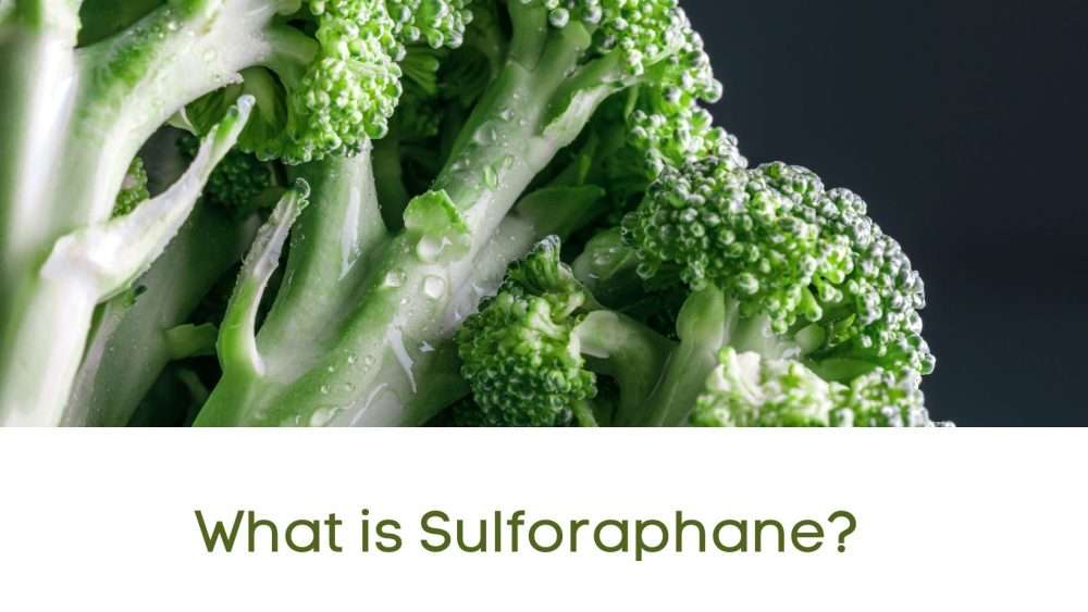 what is sulforaphane - broccoli image