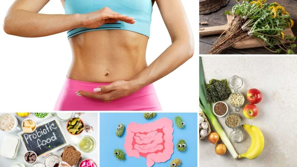 Gut wellness, probiotic sources and inulin