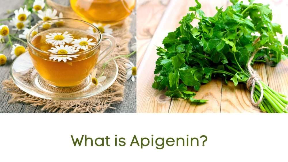 apigenin sources