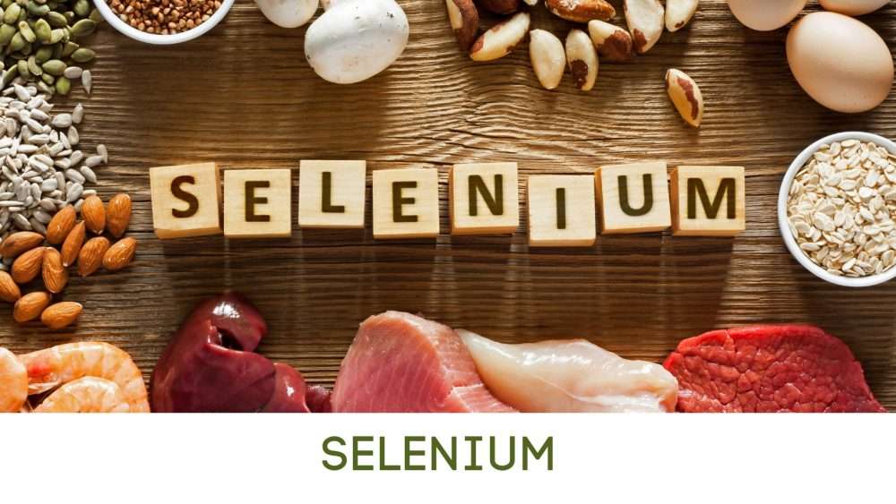 Food Sources for Selenium