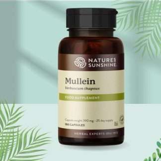 Nature's Sunshine Mullein (100 Capsules)