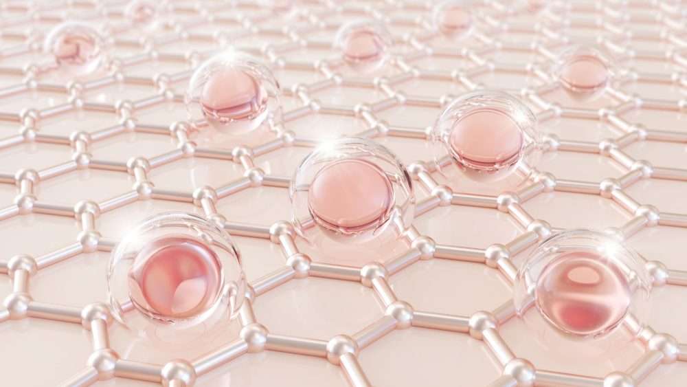 Collagen Matrix