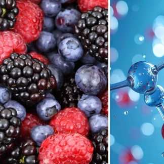 Antioxidants & Cellular Health